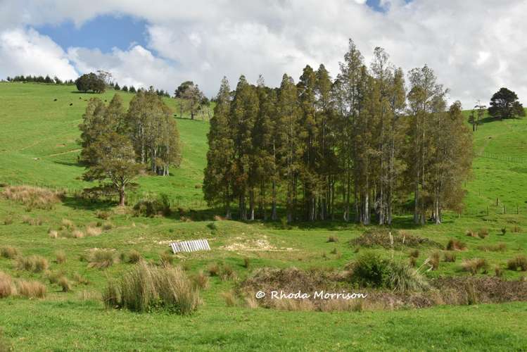 726 Paparoa Station Road Maungaturoto_34