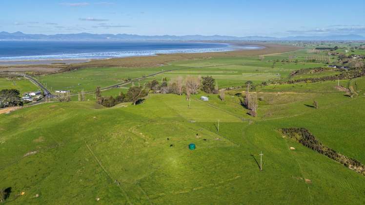 905 Miranda Road Miranda_14