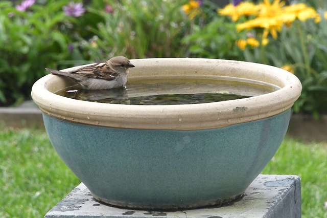 5 Leggett Lane Red Beach_2