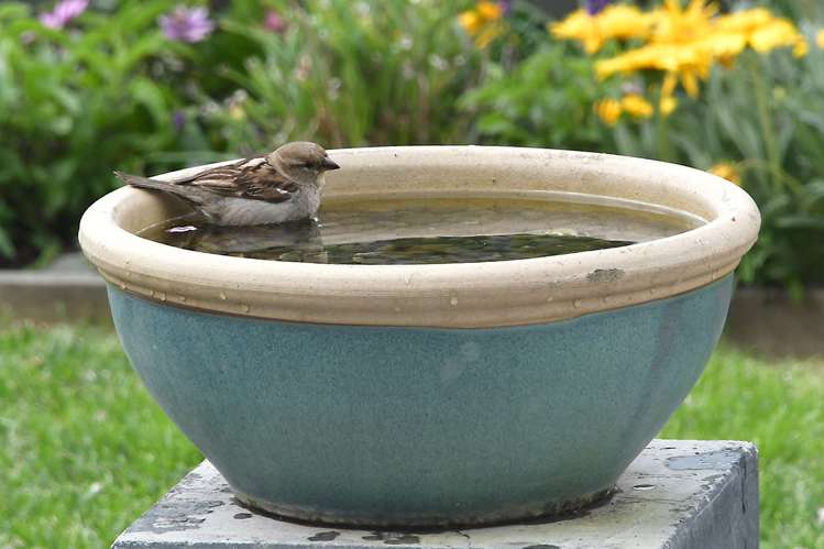 5 Leggett Lane Red Beach_2