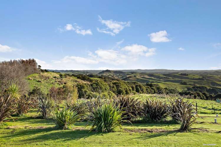 67a Esk Road Miranda_21