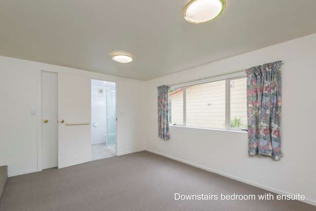 125a Seabrook Avenue New Lynn_4