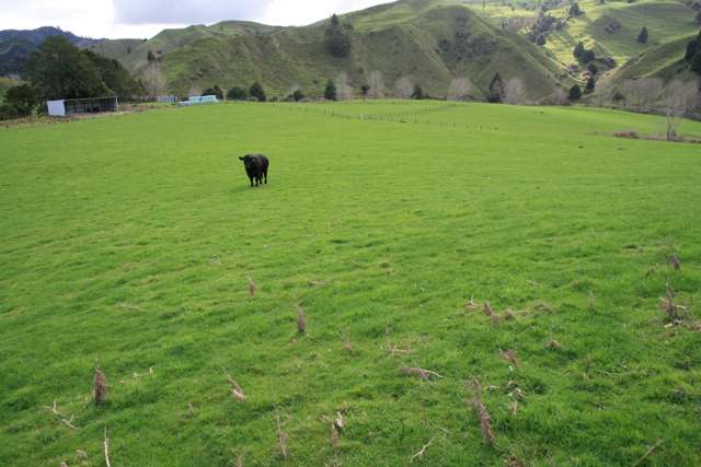 1381 Mangaehu Road Stratford_1