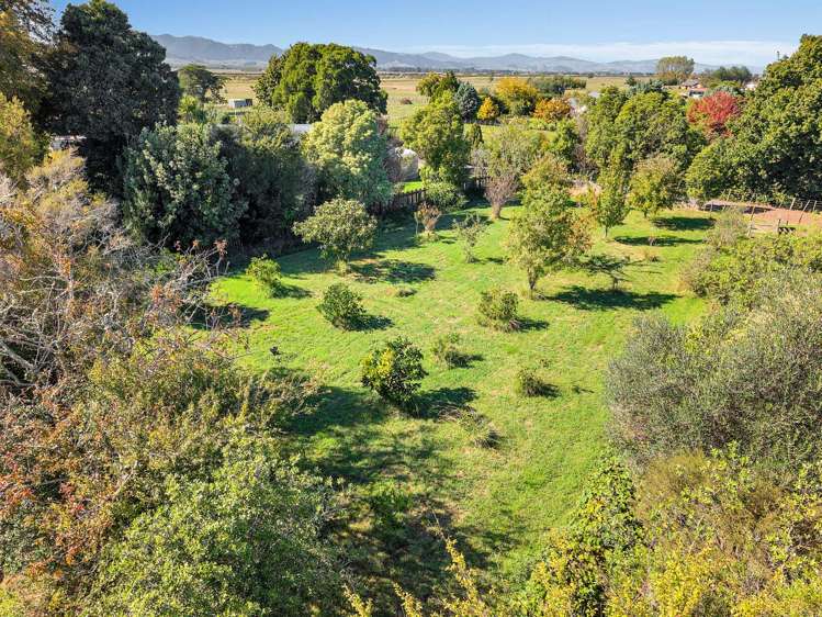 161 Hauraki Rd Orongo_4