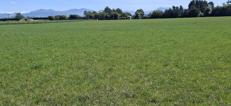 21 Dominion Road Kerrytown_4