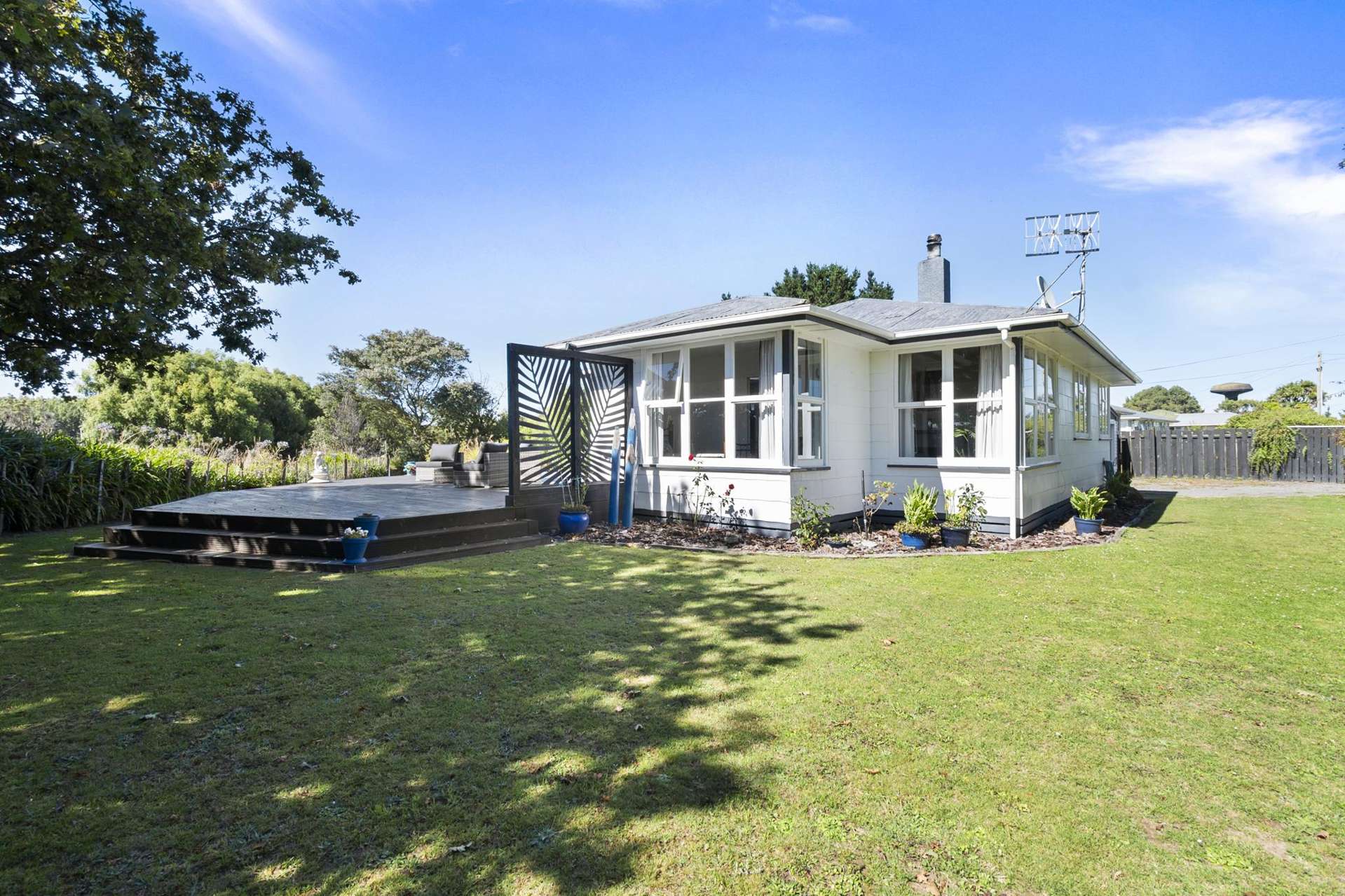 22 Ward Street Bulls_0