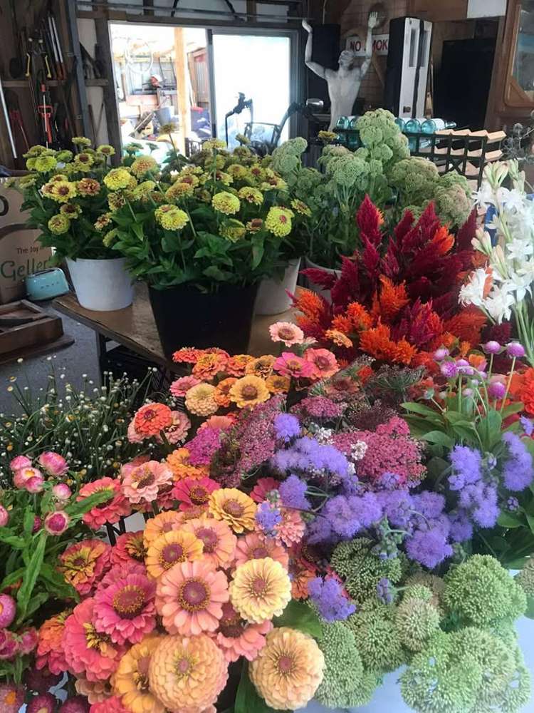 2239B State Highway 12 Paparoa_26