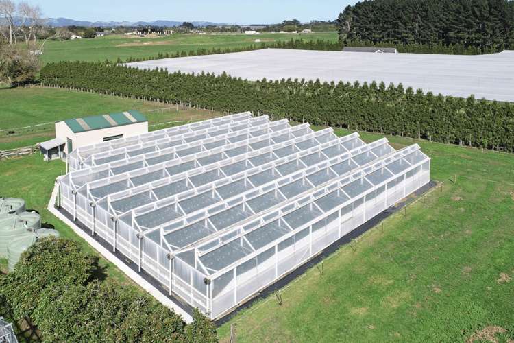 66 Marae O Rehia Road Waiuku_5
