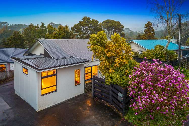 20 Withers Road Glen Eden_0