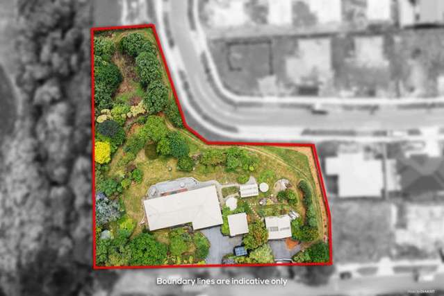 4,094sqm Potential in Pukekohe - Invest or Develop