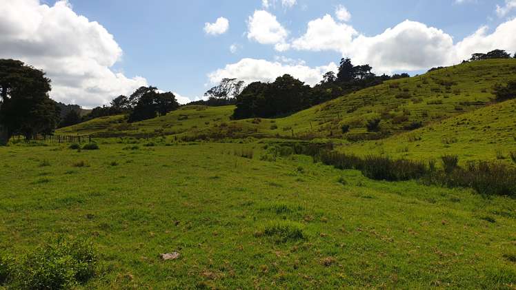 Lot 2/347 Porter Road Paparoa_29