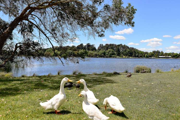 145 Lake Crescent Hamilton Lake_21