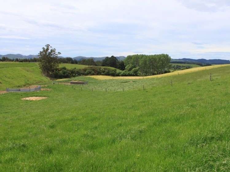 171 Hughes Road Palmerston_9