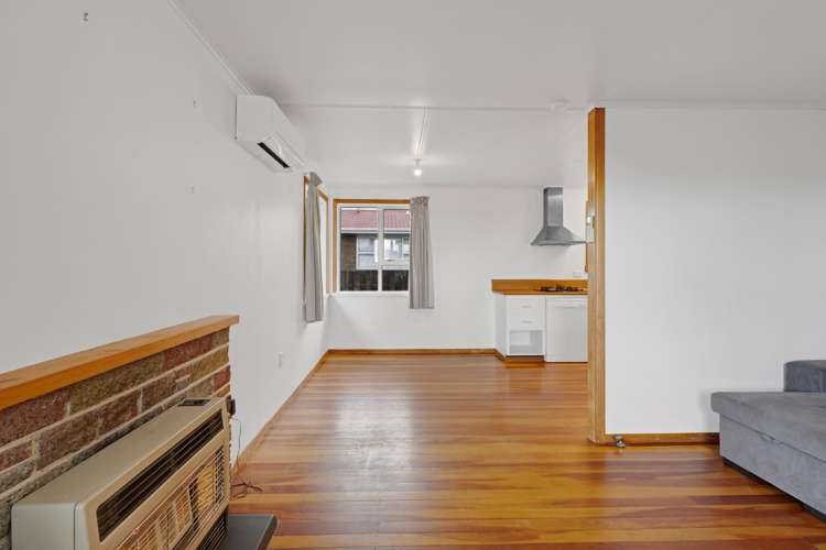 12 Nikau Street_5