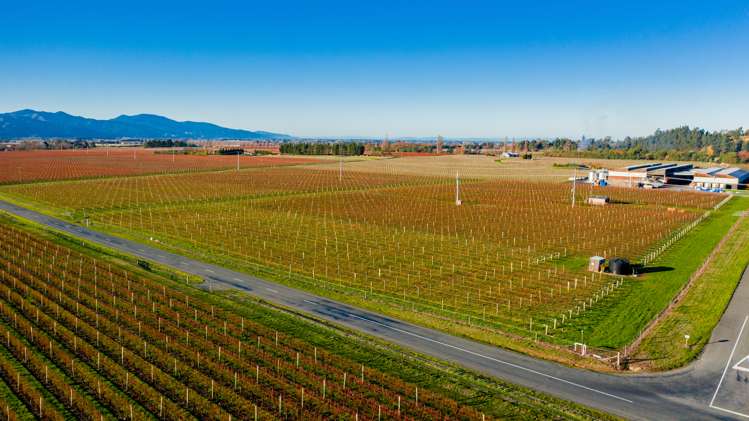 19 Lake Timara Road Hawkesbury_7