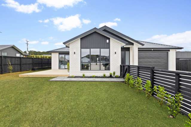 9 Te Ara Hikoi Pukekohe_2