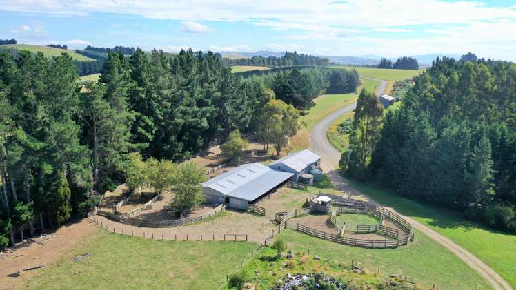 41 Otaria Road Gore Surrounds_12