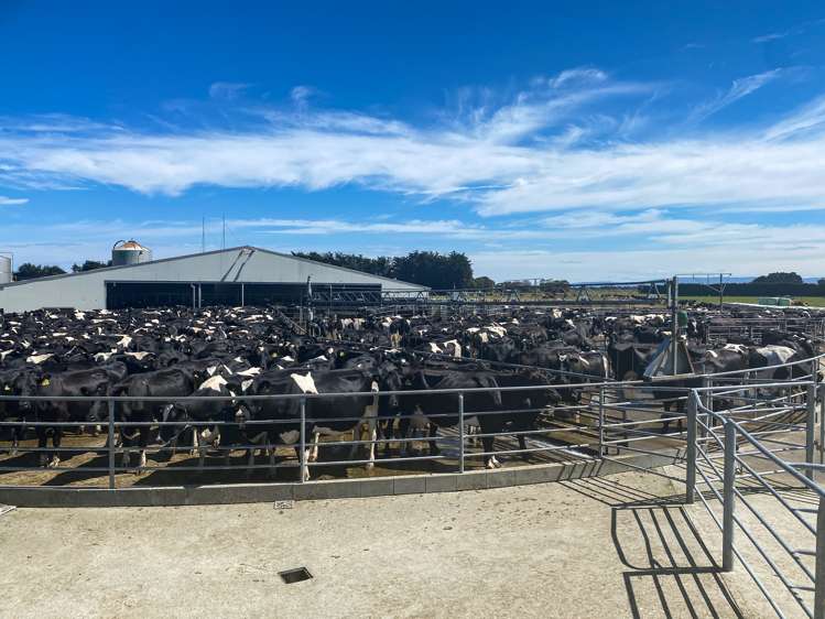 179 Dunlop Street Wallacetown_12