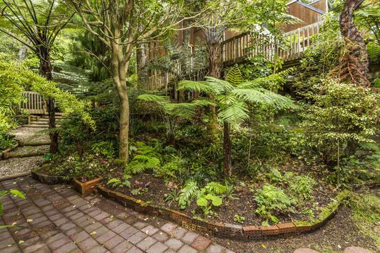 15 Fitzpatrick Place Chatswood_15