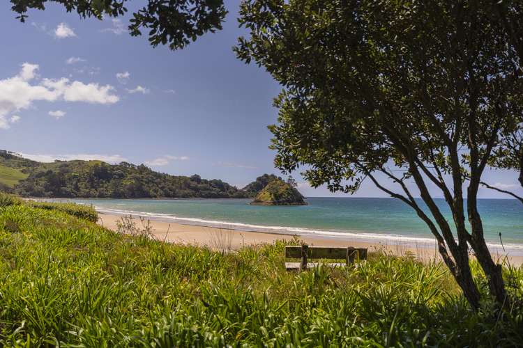 122 Mangakahia Drive Whangapoua_4