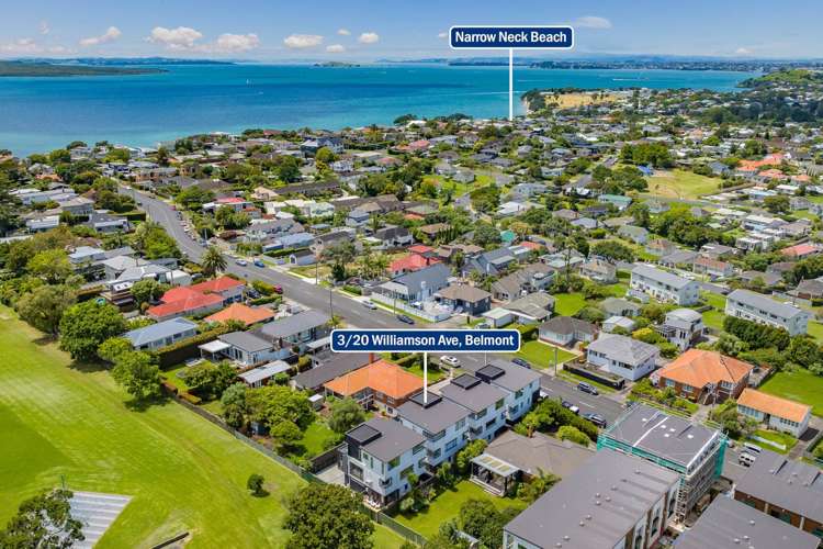 3/20 Williamson Avenue Belmont_21