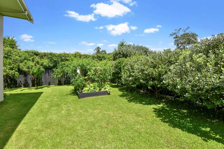 18 Laurence Street Manly_13