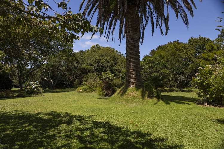 1982 Diggers Valley Road Kaitaia Surrounds_28