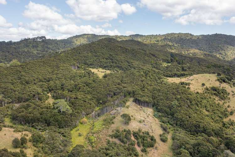 168 Moewai Road Whitianga_27