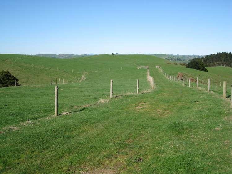 416 Kauri Road Onewhero_3