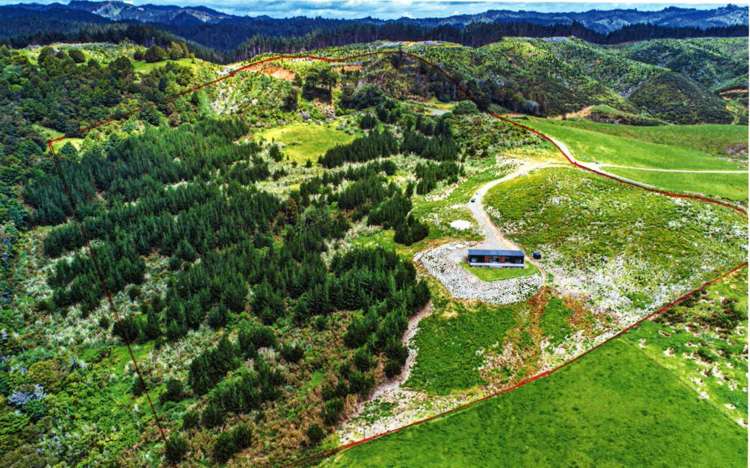 438a Glenmohr Road Waipu_12