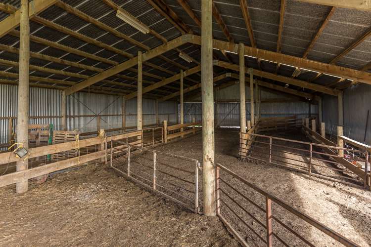 262 Chattertons Road McLeans Island_23