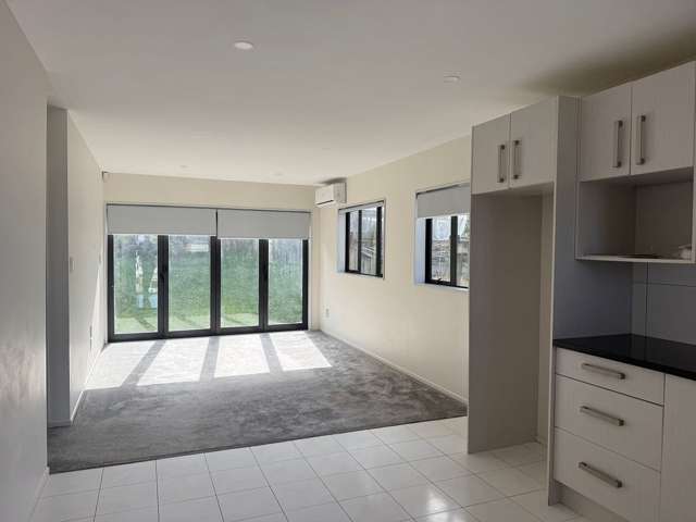 21A Bangla Place Massey_1