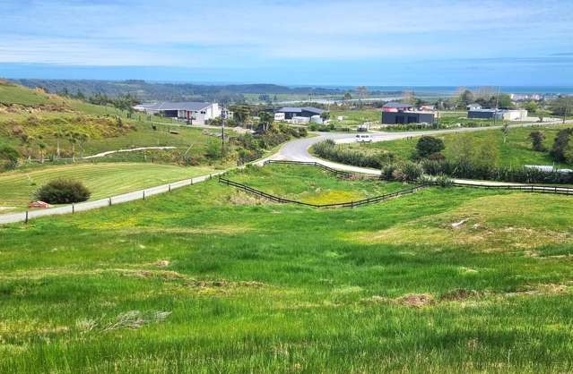 29G Reg Cox Drive Blue Spur_1