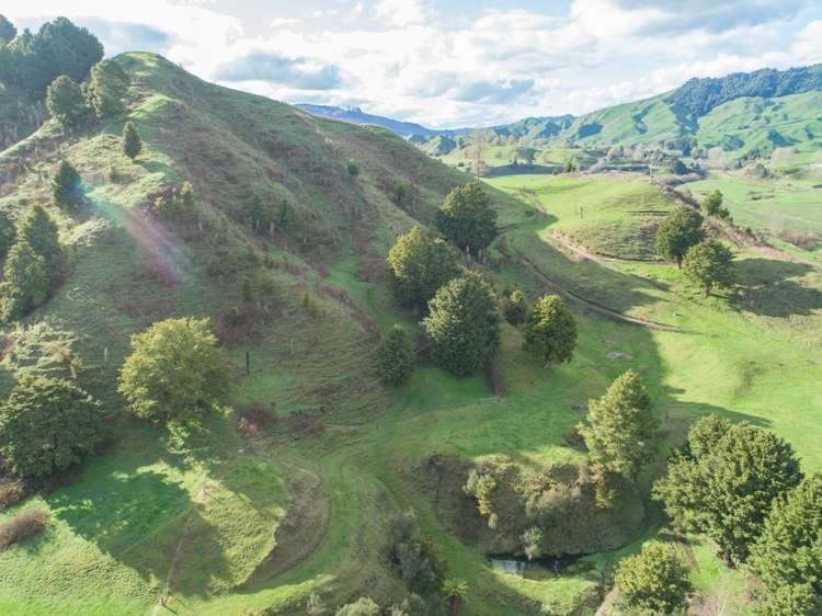 5298 State Highway 4 Waimiha-Ongarue_18