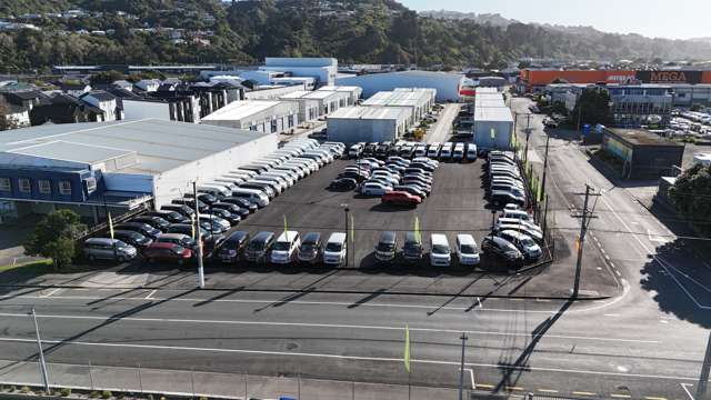 29 Udy Street Petone_1