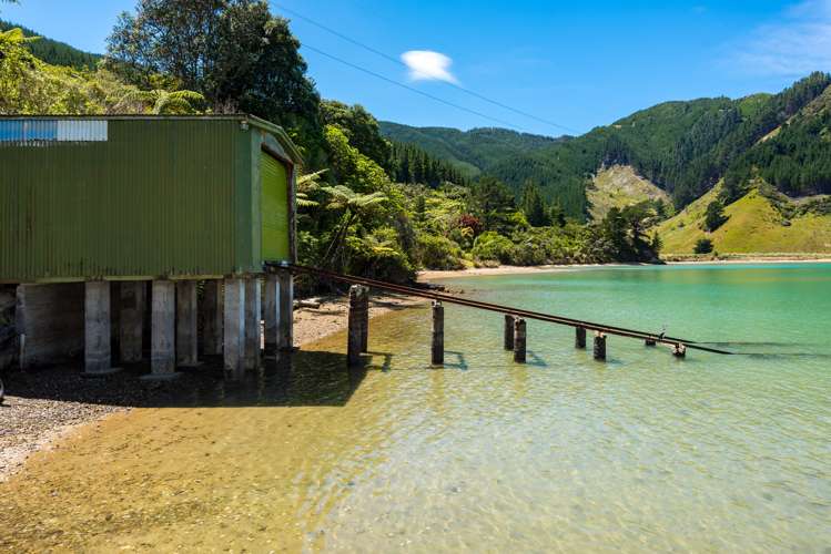 1280 Tumbledown Bay Road Port Underwood_16