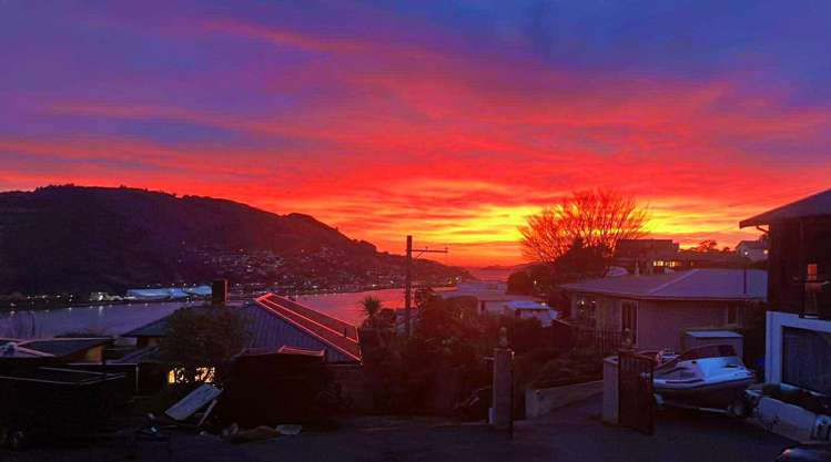 9 Dunrobin Street Waverley_33