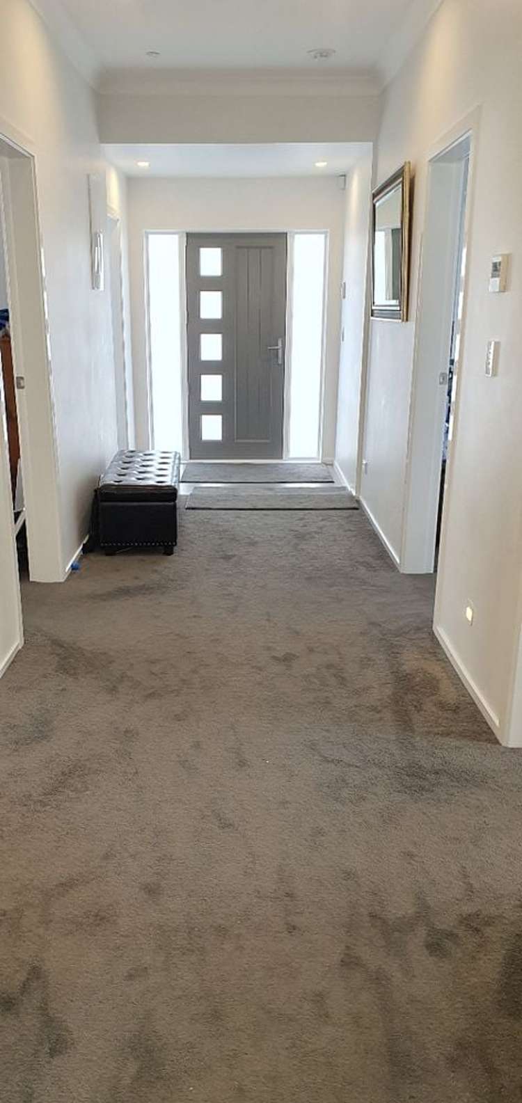 23 Copeland Street Hutt Central_2