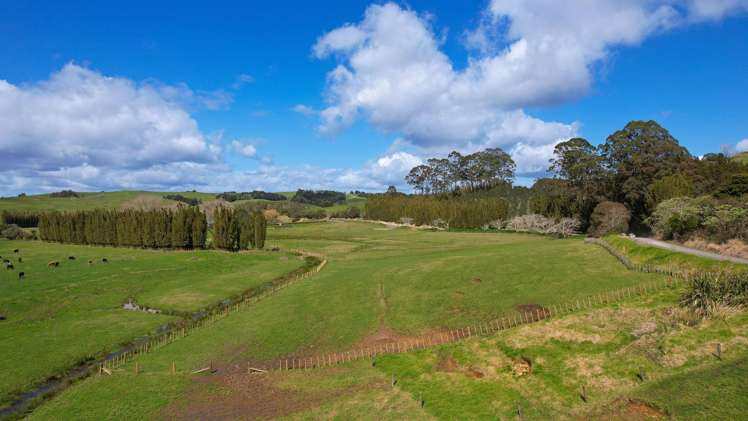 Lot Lot 1 Marshall Road Pakaraka_6