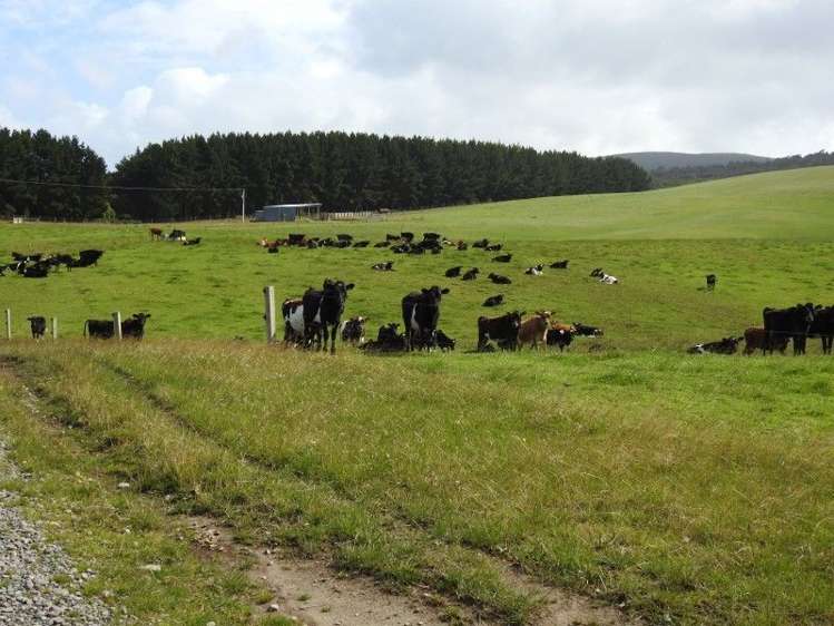 1214 Orepuki Riverton Highway Round Hill_3