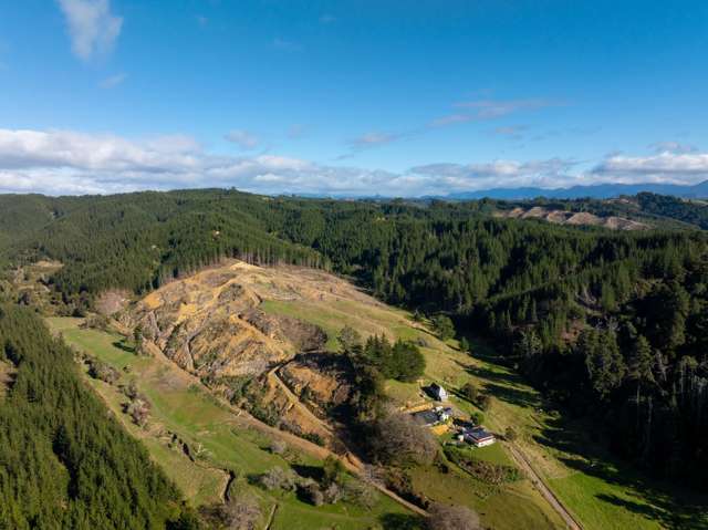 Supplejack Valley Road Upper Moutere_3