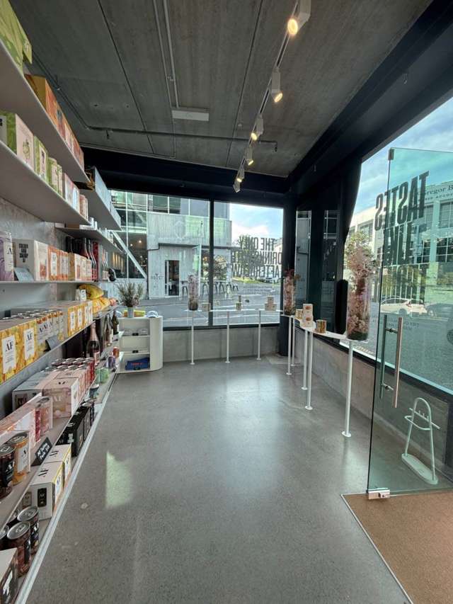 5 Crummer Road Grey Lynn_3