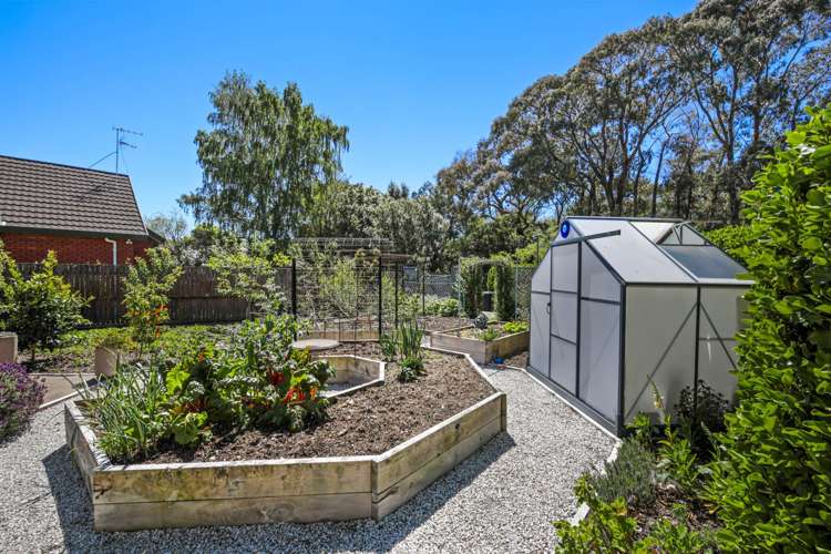 47A Brooklyn Drive Redwoodtown_20