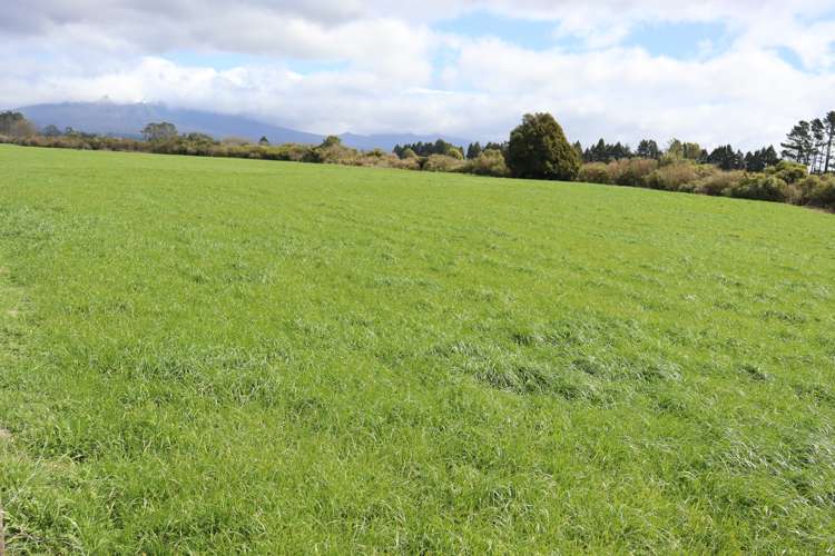 2403 Mountain Road Tariki_24