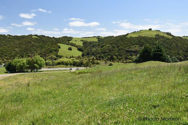 321 Heatley Road Whakapirau_22