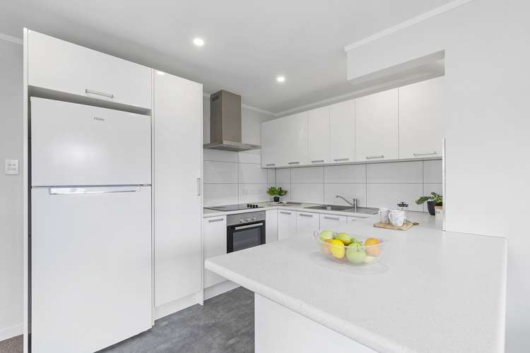 103a Hobart Street Miramar_3