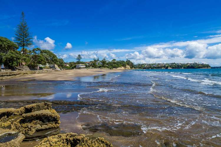 163a Kowhai Road Mairangi Bay_13