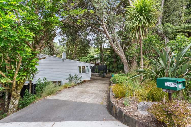 186 Atkinson Road Titirangi_21