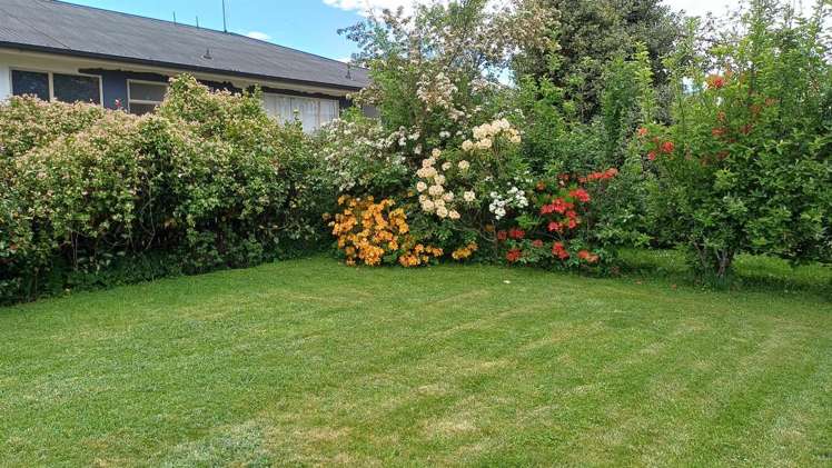 24 Denmark Street Fairlie_17