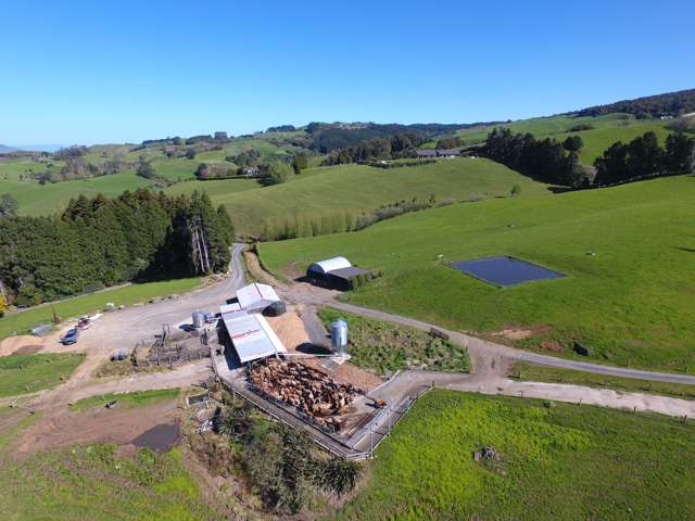 480 O'Shea Road Pirongia_2